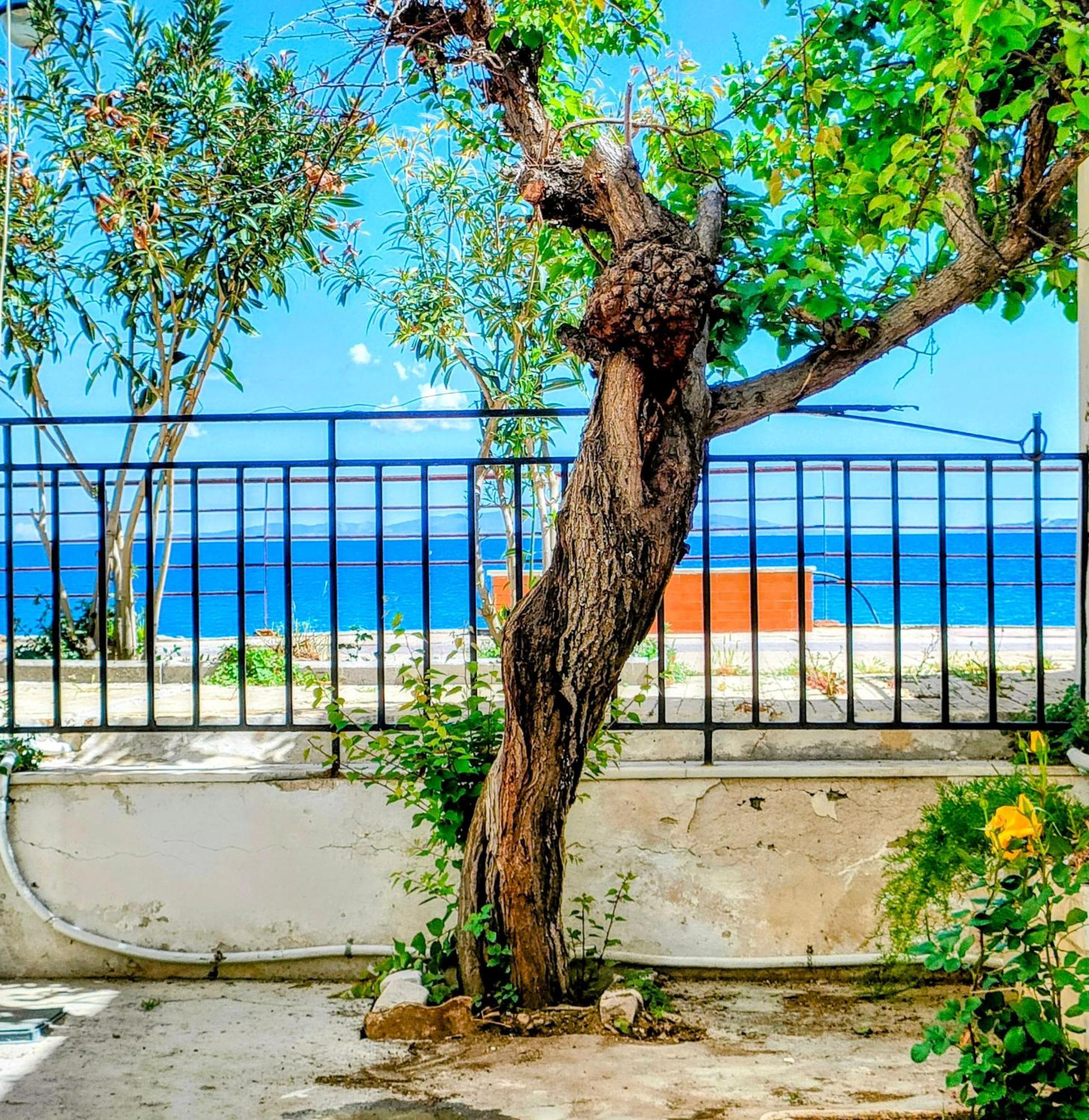 Seaside Apartment Agioi Theodoroi Ngoại thất bức ảnh